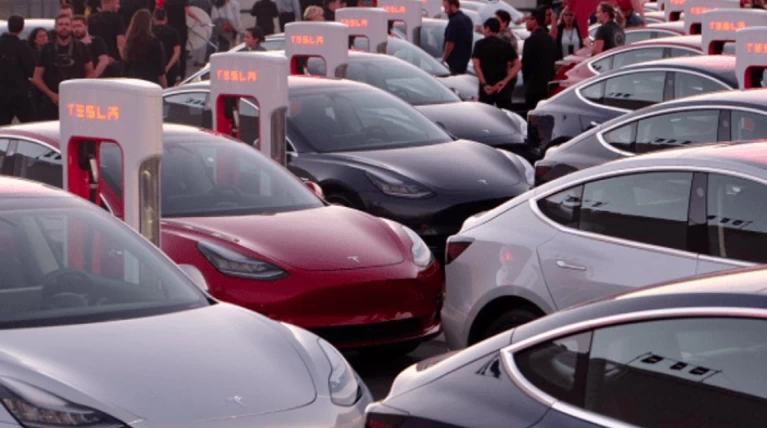 Μυρμήγια εναντίον Tesla: ο κολοσσός 'μετακομίζει' τις μυρμηγκοφωλιές