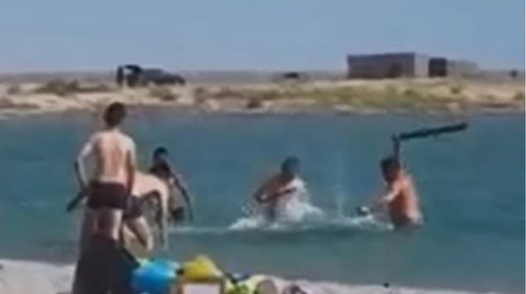 Βαρβαρότητα Φώκια Καζακστάν