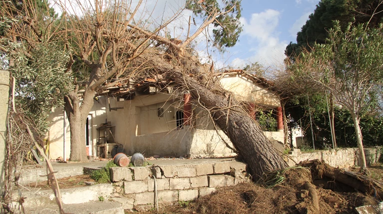Ανεμοστρόβιλος Δέντρο Σπίτι