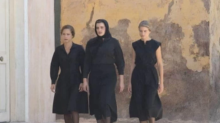 Αγριες Μέλισσες
