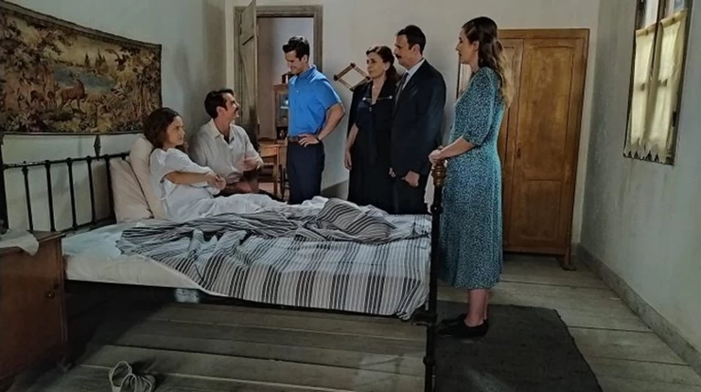 αγριες μέλισσες