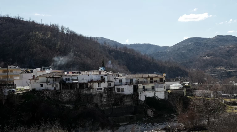 εχινος