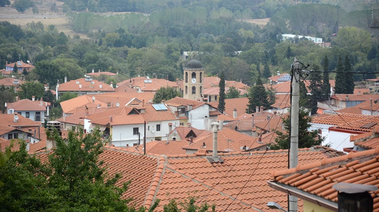 ΑΡΝΑΙΑ
