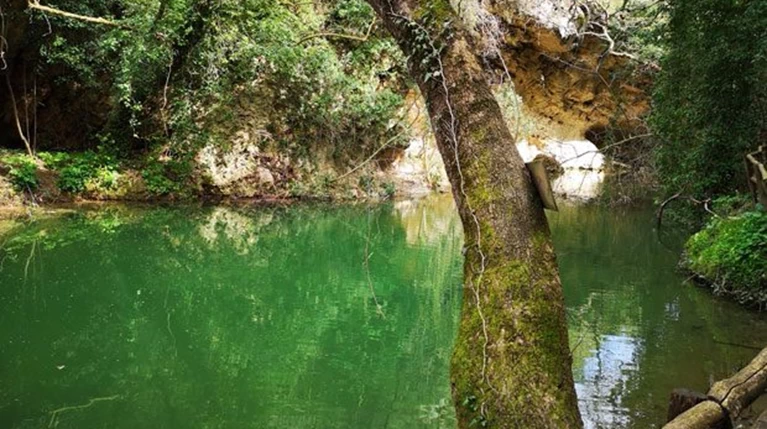 Νεραϊδόσπηλιος