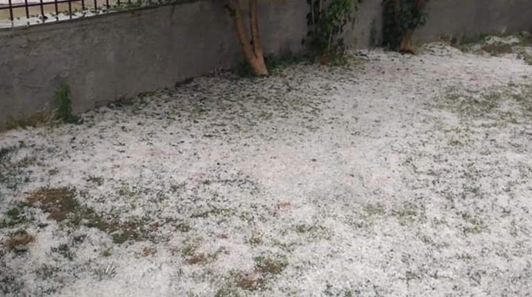 κοζανι
