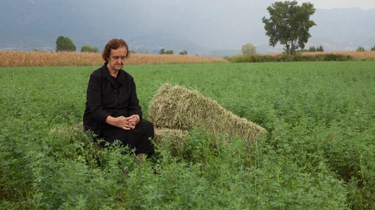 Σινεμά για παραμύθια και πυγμαχία