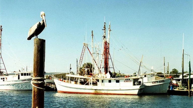 Φλόριντα: Πολιτιστική περιουσία κηρύχθηκε η ελληνική περιοχή Tarpon Springs