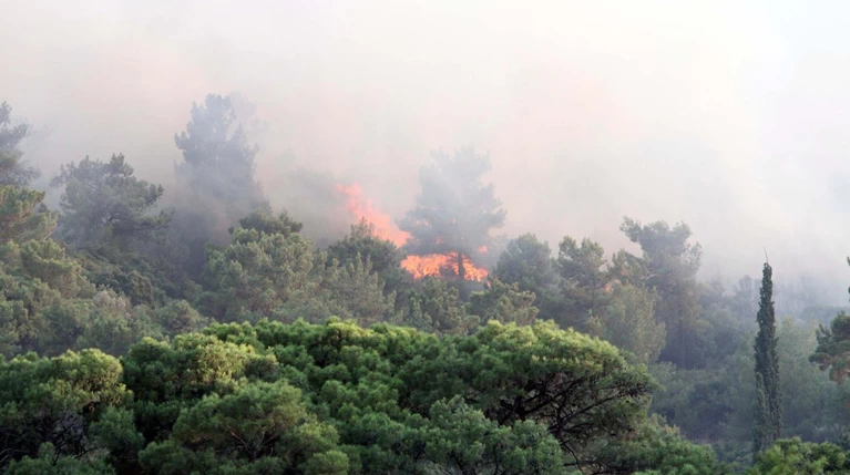Νέα πυρκαγιά στο Πυθαγόρειο της Σάμου