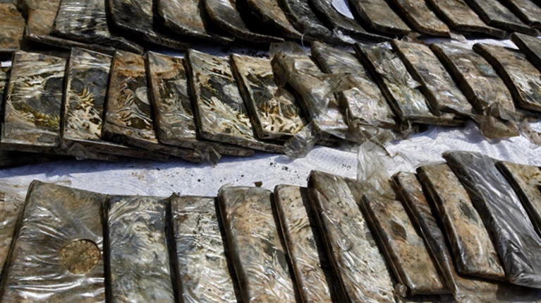 Σύλληψη ενός 23χρονου με 30 κιλά χασίς μετά από τροχαίο στην Καστοριά