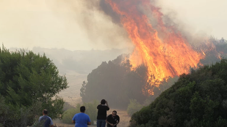 Σε εξέλιξη πυρκαγιά σε δάσος στη Φυλή
