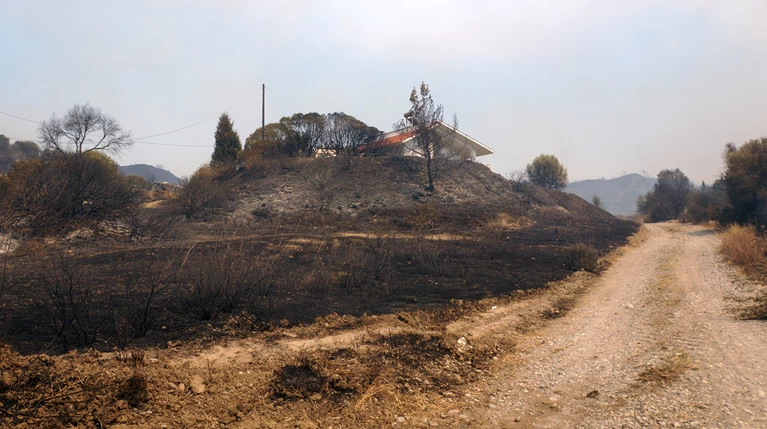 Στάχτη και αποκαΐδια 25 χιλ. στρέμματα στη Ρόδο