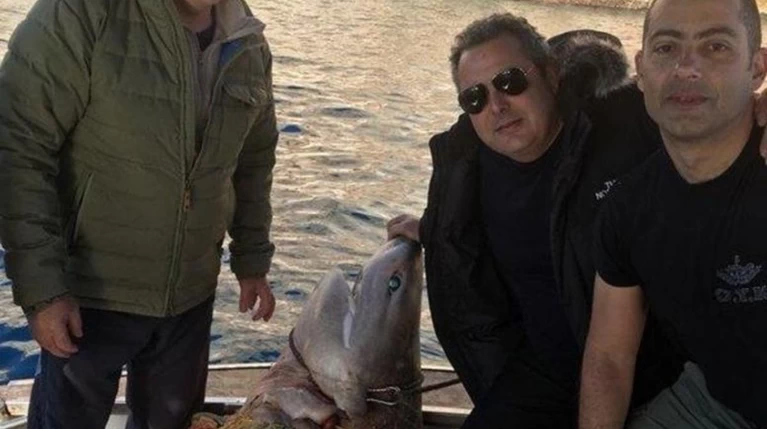 Ερώτηση Αμυρά στη Βουλή για τον καρχαρία του Καμμένου