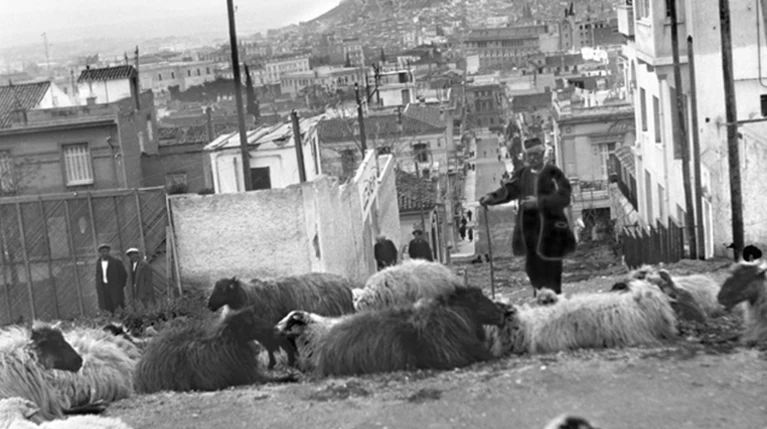 Κατσικάδικα, Αλώνια: Από πού πήραν το όνομά τους οι συνοικίες της Αθήνας