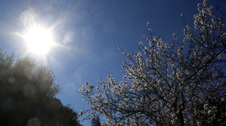 Αίθριος και σήμερα ο καιρός, έως 26 βαθμούς η θερμοκρασία