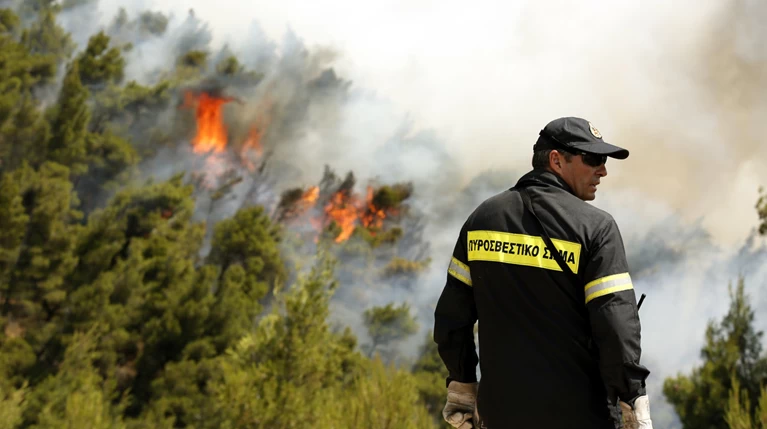 H WWF προειδοποιεί: Φέτος το καλοκαίρι παίζουμε με τη φωτιά
