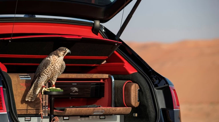 Bentaya Falconry: Εντάξει! Στην Bentley έχουν πλέον ξεφύγει εντελώς