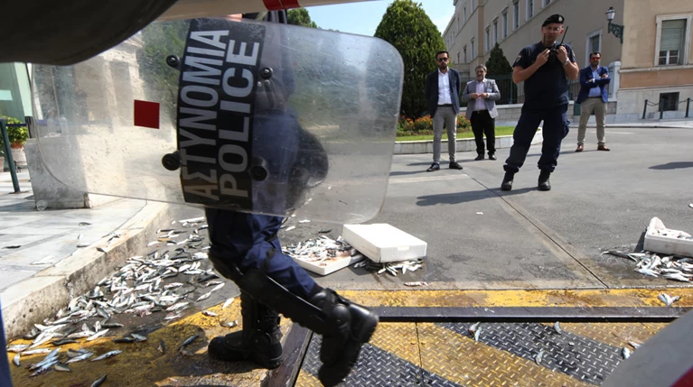 Διαδηλωτές του ΠΑΜΕ πέταξαν σαρδέλες στο προαύλιο της Βουλής (φωτό)
