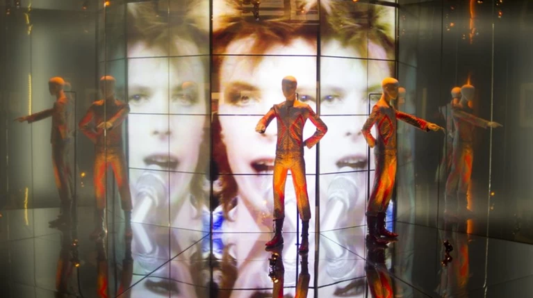 Εδωσαν το όνομα του David Bowie σε εξαφανισμένο είδος σφήκας