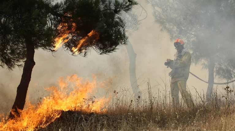 Σε εξέλιξη φωτιά στο Πανόραμα Μεγάρων