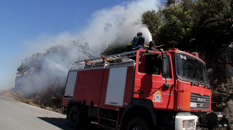 Σε ύφεση η φωτιά στη Μάνη: Μηνυτήρια αναφορά από την αντιπεριφερειάρχη