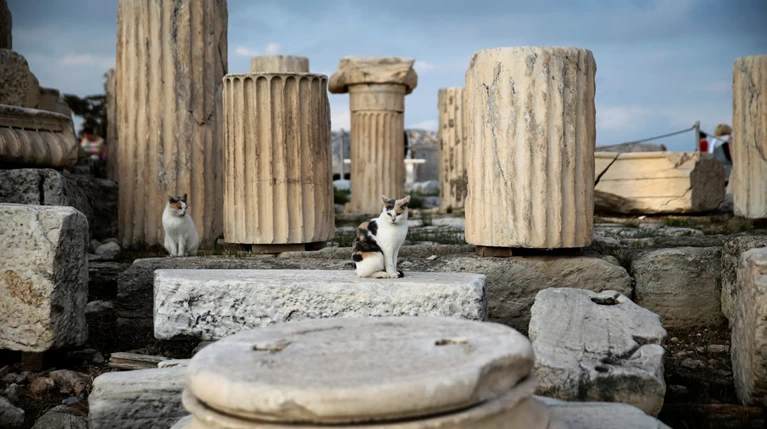 Τα μνημεία «απαγγέλουν» Ομηρο σε μια πρωτότυπη δράση που αλλάζει την πόλη