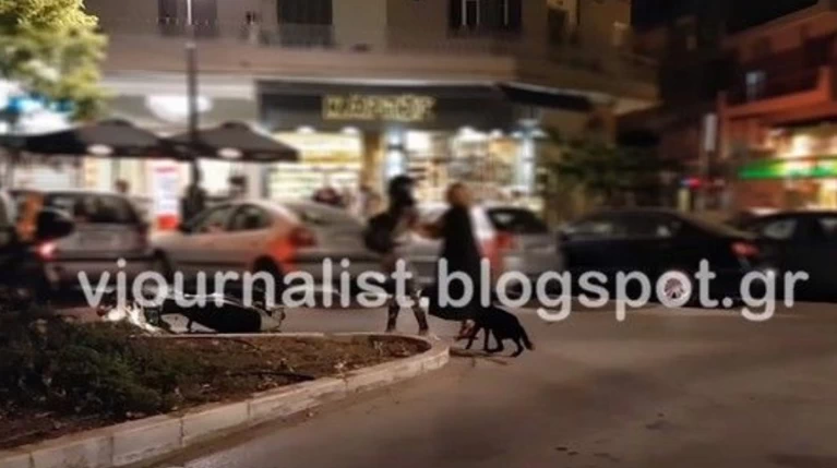 Άγριο ξύλο ανάμεσα σε δύο γυναίκες στη Θεσσαλονίκη - Βίντεο