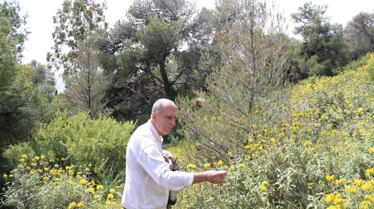 Πέθανε ο αρχαιολόγος και πανεπιστημιακός Αντώνης Ζώης