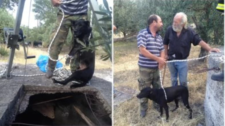 Εριξαν ζωντανό σκύλο σε πηγάδι για να το ξεφορτωθούν - Εικόνες