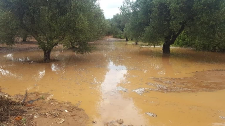 Η βροχή έπνιξε καλλιέργειες - Ποτάμια έγιναν αμπέλια & χωράφια ΒΙΝΤΕΟ-ΦΩΤΟ