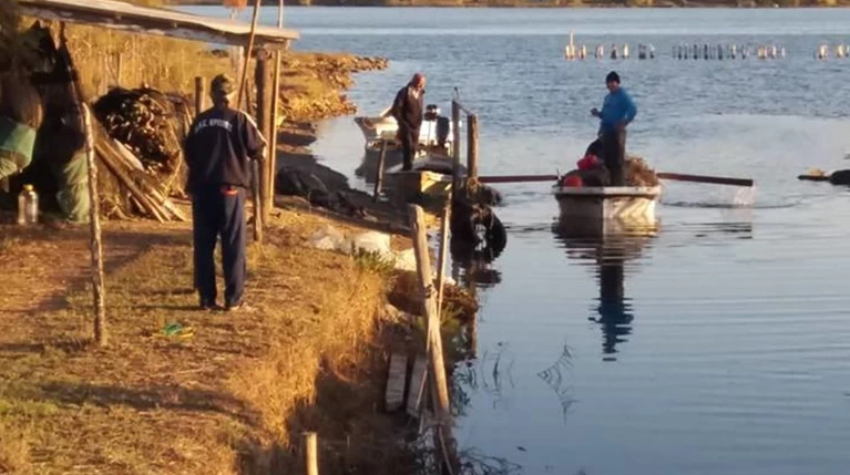 Έχετε δοκιμάσει το κεχριμπαρένιο χαβιάρι της Κέρκυρας;