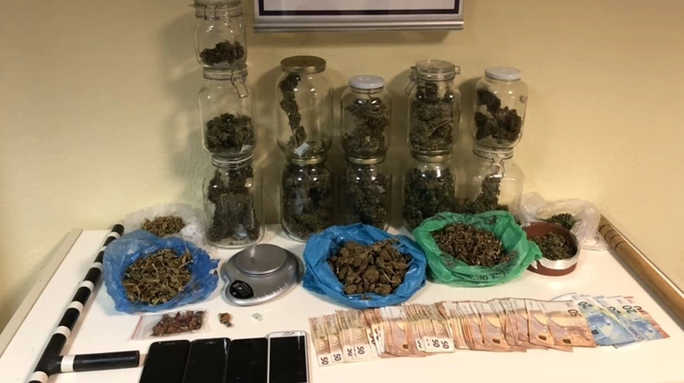 Συλλήψεις για παραισθησιογόνα μανιτάρια και ναρκωτικά στη Βέροια
