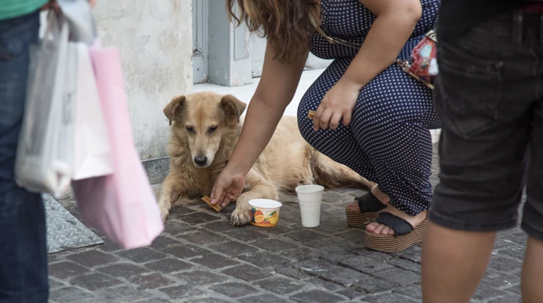 Ζέστη την Τετάρτη: Σε ποιες περιoχές θα αγγίξει τους 37 βαθμούς