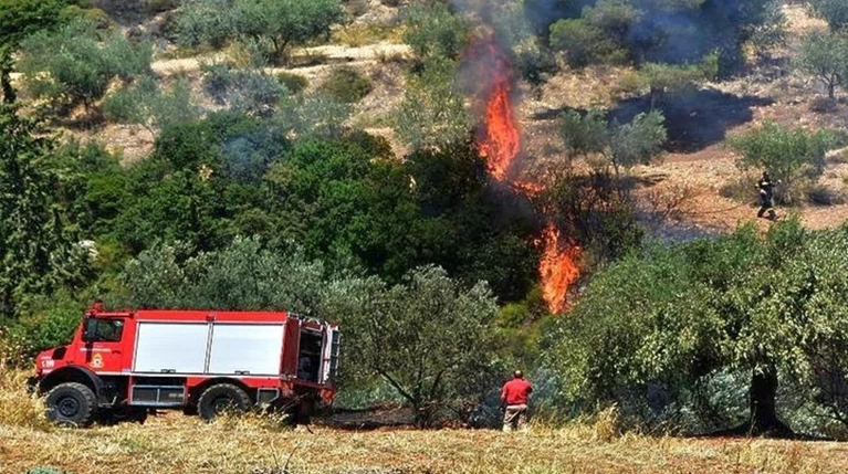 Υπό έλεγχο φωτιά που εκδηλώθηκε το πρωί στο Σέσι Γραμματικού