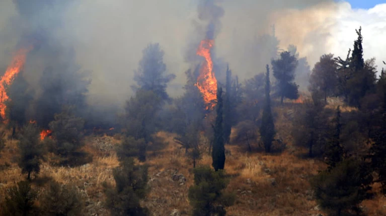 Πολύ υψηλός ο κίνδυνος πυρκαγιάς σήμερα