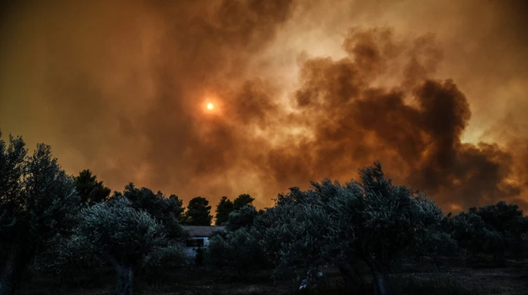 Ολονύχτια μάχη με τη φωτιά στην Εύβοια-Εκκενώθηκαν 2 χωριά