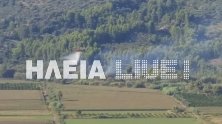 Υπό μερικό έλεγχο η φωτιά σε δασική έκταση στην περιοχή Διάσελλα Ηλείας