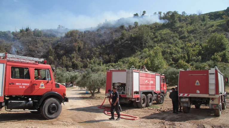 Φωτιά σε δασική έκταση στον Άγιο Στέφανο