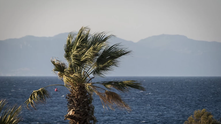 Έως 37 βαθμούς η θερμοκρασία, ισχυροί άνεμοι στο Αιγαίο