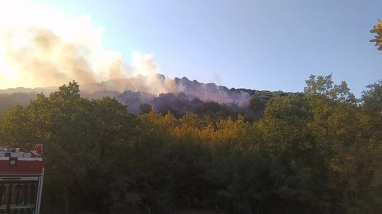 Σε εξέλιξη νέα πυρκαγιά σε δυσπρόσιτη πλαγιά στην Αλεξανδρούπολη