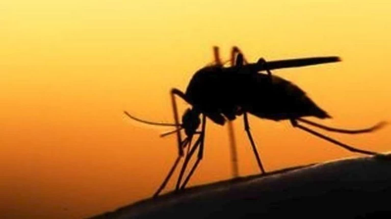 Σαράντα τα κρούσματα του ιού του Δυτικού Νείλου στην Κ. Μακεδονία