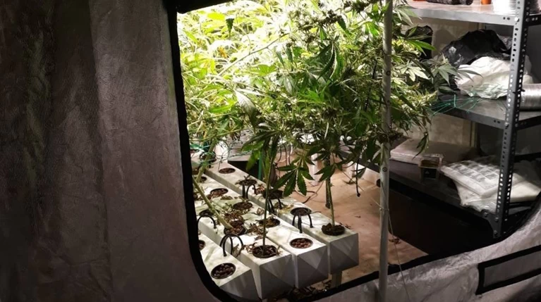 Δείτε πώς έστησε υδροπονική καλλιέργεια κάνναβης στο σπίτι του στο Γαλάτσι