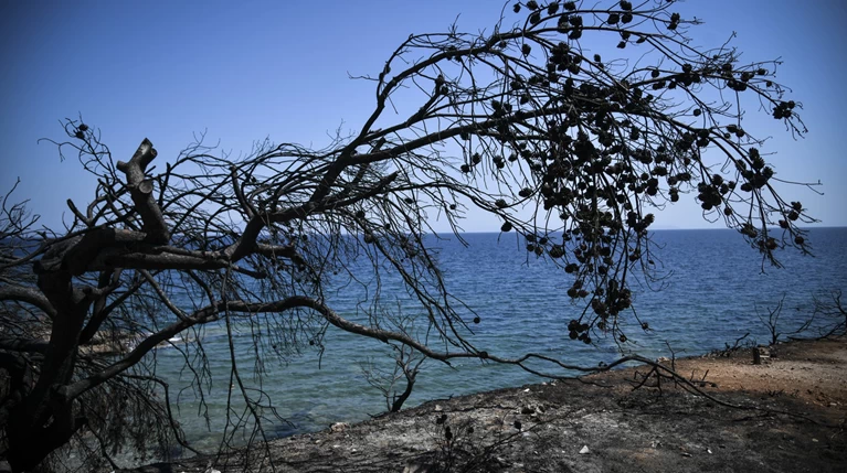 Εισαγγελείς καλούν Δούρου-Ψινάκη και άλλους 18 ως υπόπτους