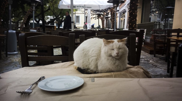 Ηλιοφάνεια και ψύχρα την Παρασκευή