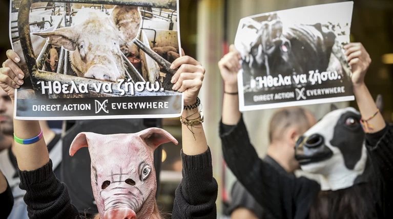 Παρέμβαση για τα ζώα στην κεντρική αγορά στην Αθήνα
