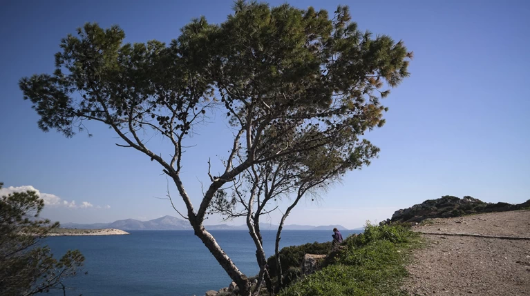 Καλός ο καιρός την Κυριακή: Αναλυτική πρόγνωση