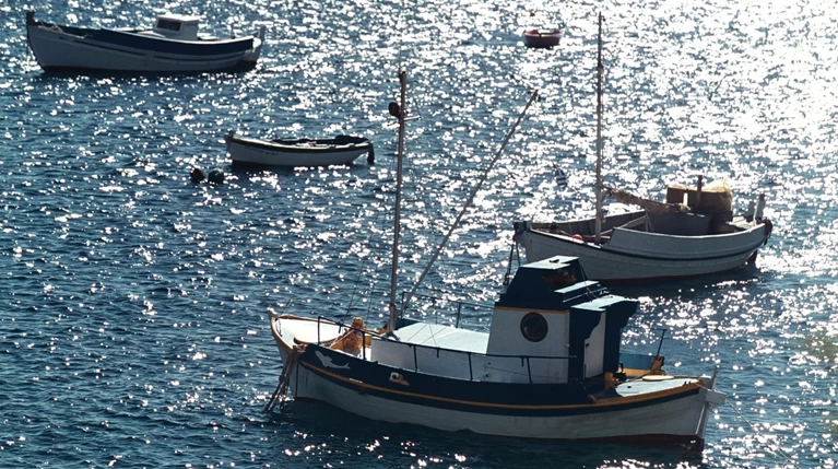 Καταξίωση και σωτηρία για τα παραδοσιακά ξύλινα αλιευτικά σκάφη