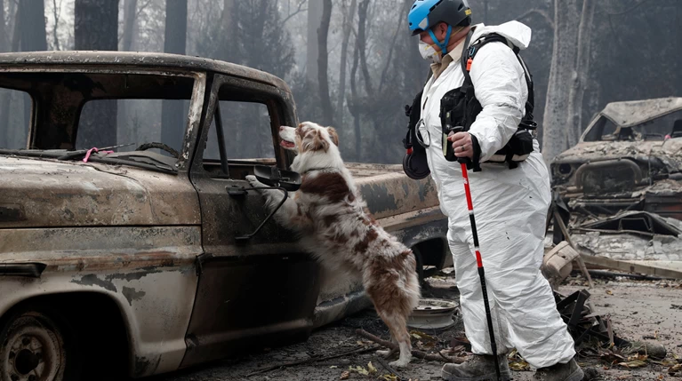56 νεκροί και 100 αγνοούμενοι από την κόλαση φωτιάς στην Καλιφόρνια