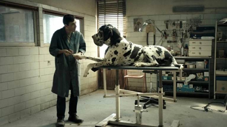 "Dogman", "Ανάσες ελευθερίας" και "Χήρες" στις κινηματογραφικές αίθουσες