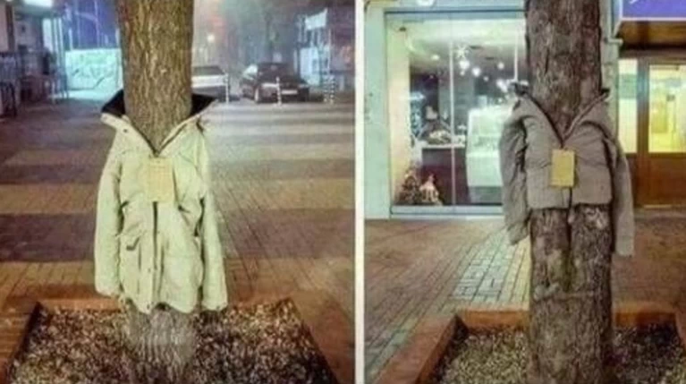 Λάρισα: Ντύνουν τα δέντρα με μπουφάν για τους αστέγους