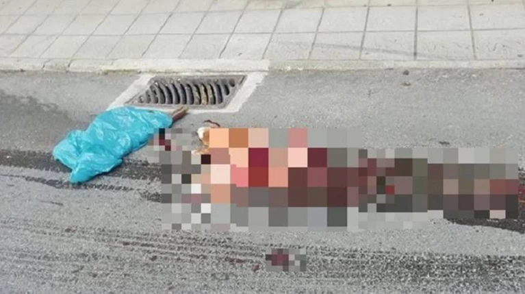 Εικόνα φρίκης με σκύλο έξω από σχολείο στα Ιωάννινα